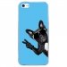 CRYSIPHONE5CCHIENVBLEU - Coque rigide transparente pour Apple iPhone 5C avec impression Motifs chien à lunettes sur fond ble