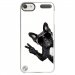 CRYSTOUCH6CHIENVBLANC - Coque rigide transparente pour Apple iPod Touch 6G avec impression Motifs chien à lunettes sur fond