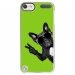 CRYSTOUCH6CHIENVVERT - Coque rigide transparente pour Apple iPod Touch 6G avec impression Motifs chien à lunettes sur fond