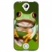 TPU1M330GRENOUILLE - Coque souple pour Acer Liquid M330 avec impression Motifs grenouille